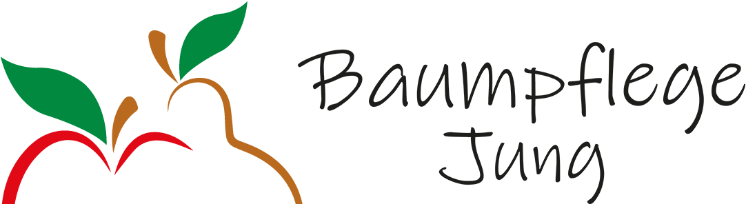 Baumpflege Jung